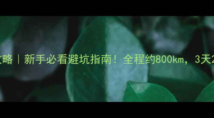 图片 🚗九寨沟自驾全攻略｜新手必看避坑指南！全程约800km，3天2夜玩转童话仙境1