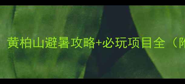 图片 🚗武汉出发自驾2h直达！黄柏山避暑攻略+必玩项目全（附详细路线+拍照点位）1