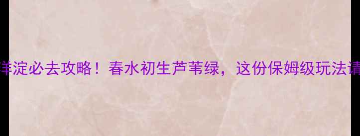 图片 4月白洋淀必去攻略！春水初生芦苇绿，这份保姆级玩法请收好1