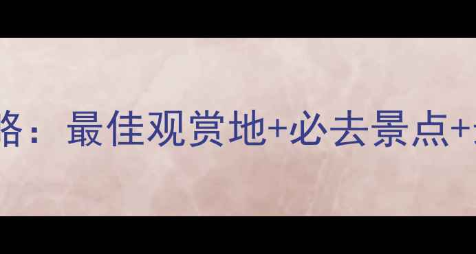 图片 中国海鸥观赏全攻略：最佳观赏地+必去景点+最佳时间+拍照技巧