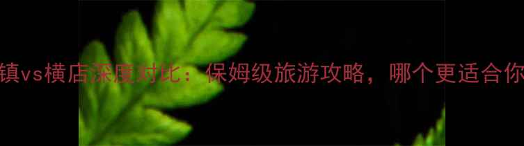图片 乌镇vs横店深度对比：保姆级旅游攻略，哪个更适合你？