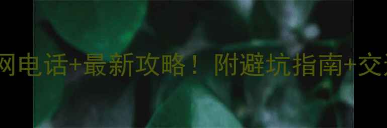 图片 张家界旅游官网电话+最新攻略！附避坑指南+交通住宿全攻略1