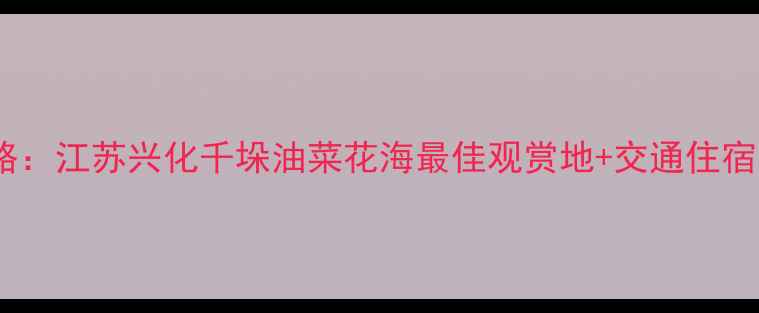 图片 最新攻略：江苏兴化千垛油菜花海最佳观赏地+交通住宿全指南2