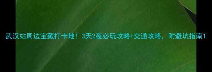 图片 武汉站周边宝藏打卡地！3天2夜必玩攻略+交通攻略，附避坑指南1