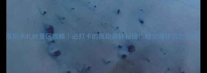 图片 洛阳木札岭景区攻略｜必打卡的原始森林秘境，附交通住宿全指南1