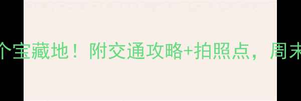 图片 洛阳站附近必打卡的5个宝藏地！附交通攻略+拍照点，周末遛娃情侣闺蜜都合适1