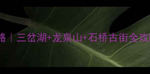 图片 简阳必去！5天4夜亲子游攻略｜三岔湖+龙泉山+石桥古街全攻略（附隐藏景点+拍照点位）