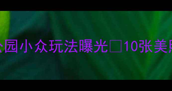 图片 🌟厦门必去！铁路公园小众玩法曝光🚂10张美照解锁城市绿肺秘境