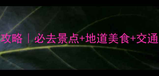 图片 🌟布鲁塞尔5天4晚深度游攻略｜必去景点+地道美食+交通全攻略（附详细行程表）