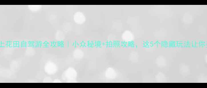 图片 🌼杭州湾海上花田自驾游全攻略｜小众秘境+拍照攻略，这5个隐藏玩法让你美到窒息！1