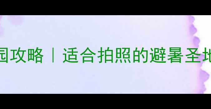 图片 🌿黄花山森林公园攻略｜适合拍照的避暑圣地！亲子游必去～