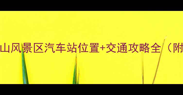 图片 📌黄山旅游必看！黄山风景区汽车站位置+交通攻略全（附地图+购票指南）🚗1